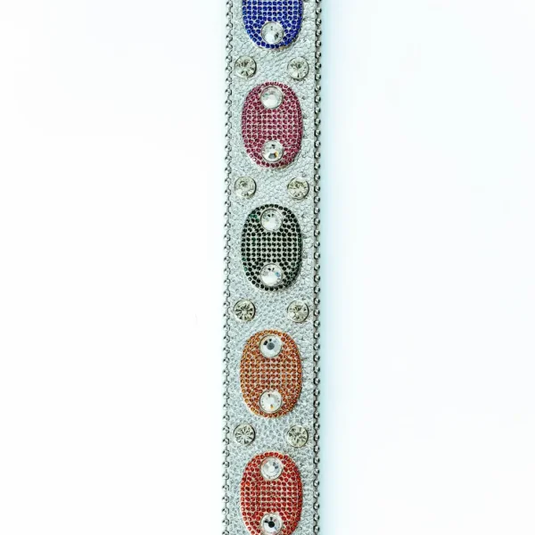 Stolen Arts N.E.R.D. Belt (3)
